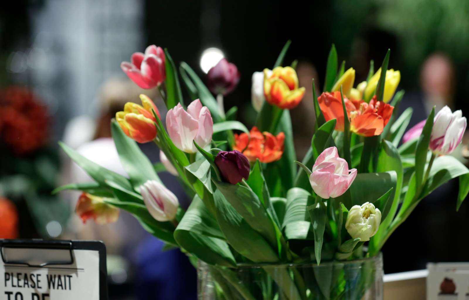 Ostern Schätzaktion Magdeburg Tulpen