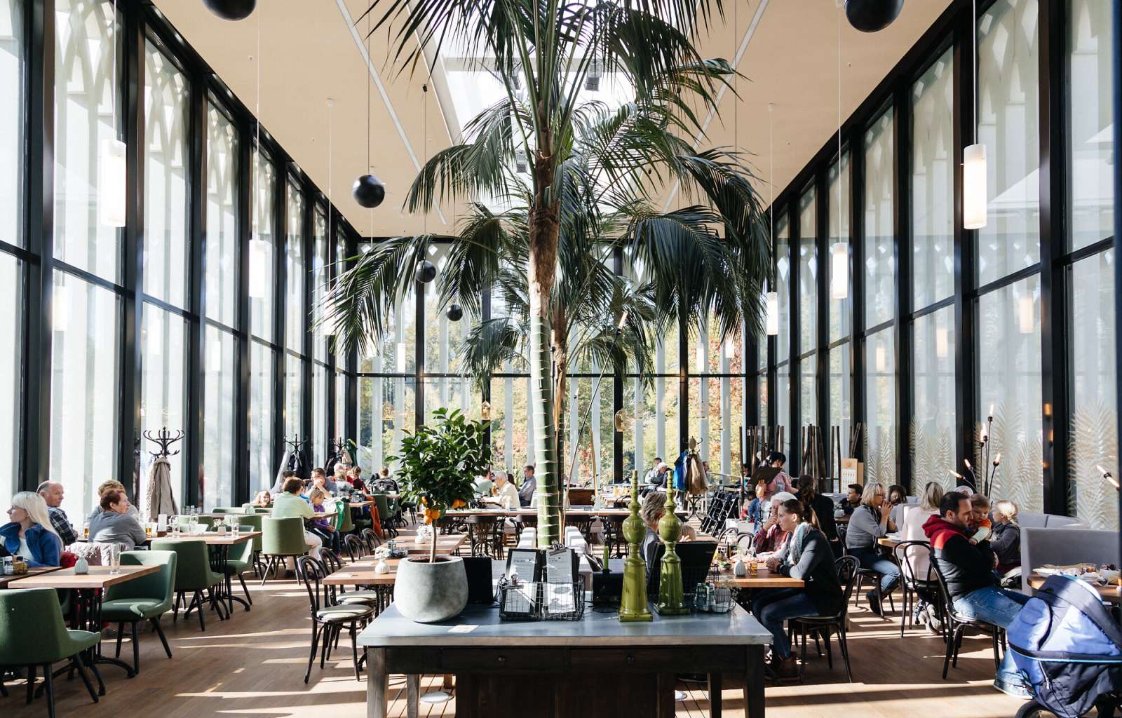 Gruppenangebot Palmensaal Zoo Leipzig